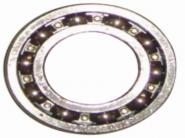 TATA 042 BEARING(6005)