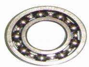 TATA 045 BEARING(6022)