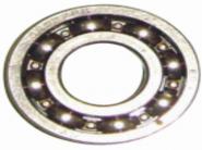 TATA 044 BEARING(6202)